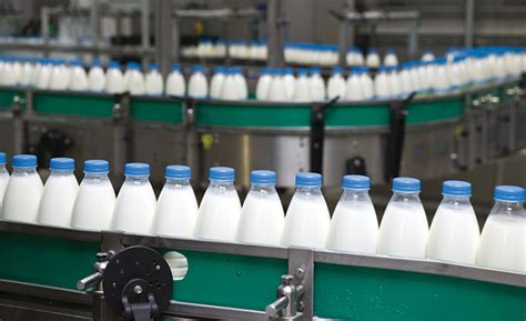 The Modern Dairy Aisle 2019 09 16 Packaging Strategies