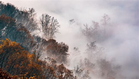 How To Photograph Foggy Landscapes Focus On The Details Learn