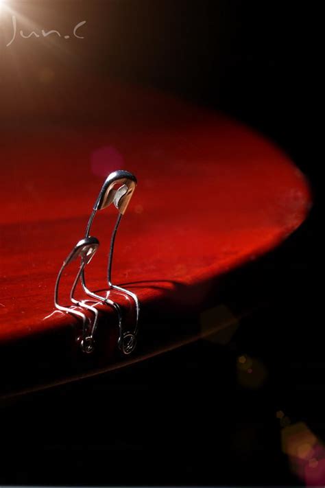The Story Of Pin Creative Macro Photography About Pin Design Swan