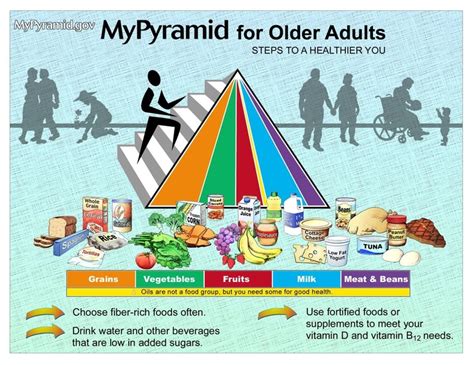 As the myplate icon shows, the five food groups are fruits, vegetables, grains, protein foods, and dairy. Food Pyramids for older Adults-Our dietary needs change ...