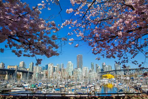 Refreshing Activities To Celebrate Spring In Vancouver Inside