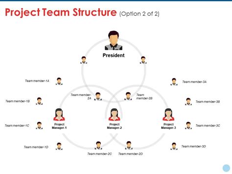 Team Structure Ppt Template Free Download