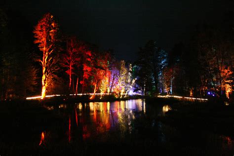 The Enchanted Forest At Faskally Wood Stravaiging Around Scotland
