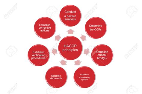 7 Principles Of Haccp The 7 Principles Of HACCP Stock Illustration