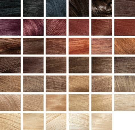 Shades Of Hair Color Chart Home Design Ideas