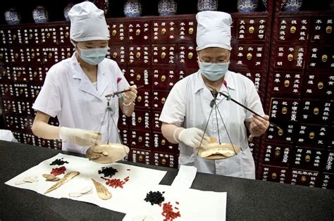 macau daily times 澳門每日時報analysis poison or cure traditional chinese medicine shows that
