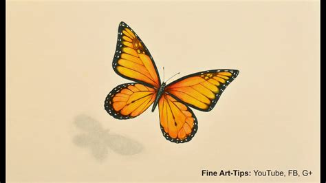 How To Draw A Monarch Butterfly With Markers And Color Pencils Youtube