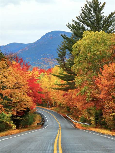 The Best Fall Foliage Tours In The Us