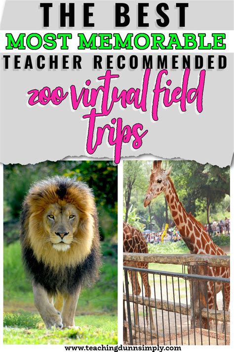 Zoo Virtual Field Trips The Best Most Memorable