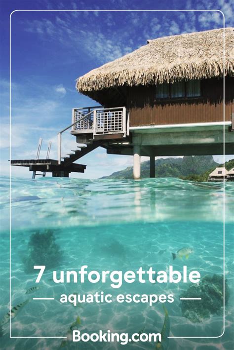 7 Unforgettable Aquatic Escapes Beach Hotels Pacific