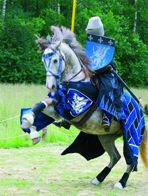 Medieval Tournament At Raseborg Castle Ruins In Finland Medieval Horse