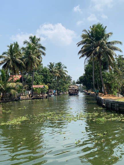 This hostel is full of beautiful women! All the Best Budget Travel Tips of 2021 | Triptipedia