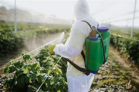 How To Remove Pesticides From Your Produce Cnm College Of