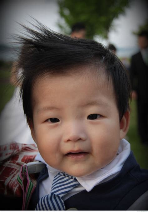 Quiff really adds a sense of style to your young gun. 30 Toddler Boy Haircuts For Cute & Stylish Little Guys