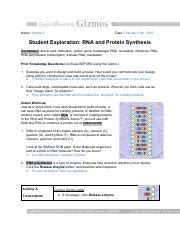 This task card can be used for remote learning or in class as a durin. Josh Harmon RNAProteinSynthesis.pdf - Name_Josh Harmon Date Student Exploration RNA and Protein ...