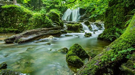 Hd Wallpaper Moss Mossy Waterfall Stream Green Nature Body Of