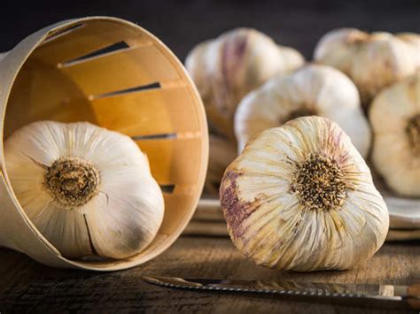Potential side effects of garlic. 10 harmful effects of garlic that you should know - Side ...