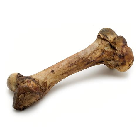 American Prime Cuts Mammoth Dog Bone Petco