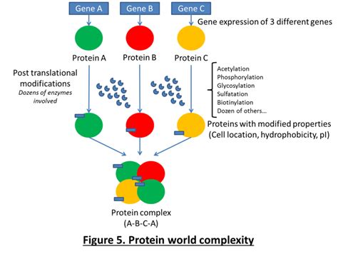 Check spelling or type a new query. To Produce A Protein Complex Protein Chains Are Produced