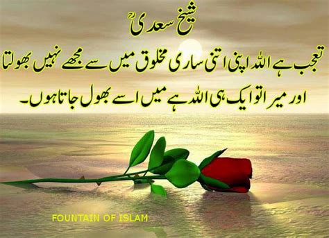 Sheikh Saadi Raislamic Aqwaal E Zareen In Urduislamic Urdu Quotes