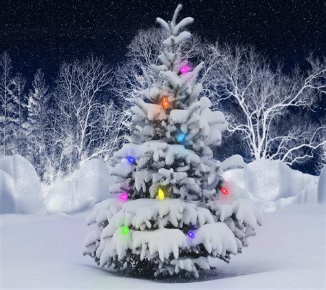 Download Christmas Tree Wallpaper By Sllver 5e Free On Zedge™ Now