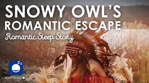 Bedtime Sleep Stories ️ Snowy Owls Romantic Escape ️ Romantic Love