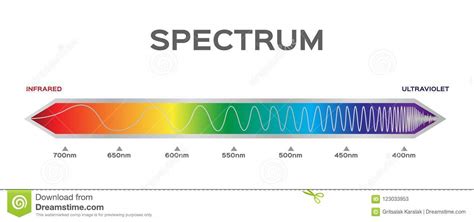 Em Qual Faixa Do Espectro Visível Os Carotenos Absorvem Majoritariamente