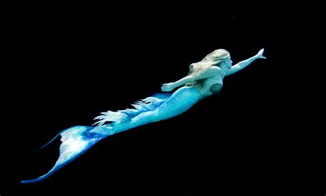 Animal Planet Mermaids New Evidence