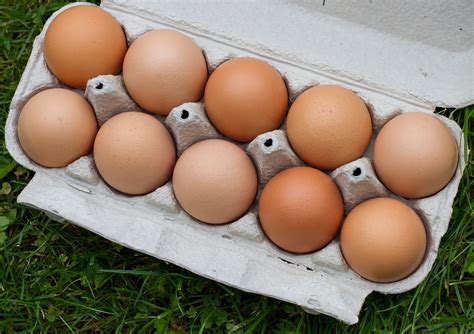 Add On Local Dozen Eggs The Farmhouse Gourmet