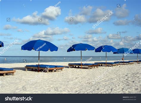 Line Of Blue Beach Chairs On Floridas Gulf Coast Stock Photo 20491757