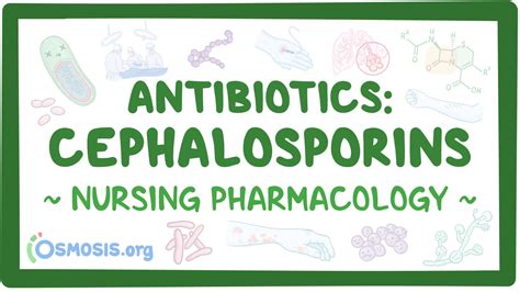 Antibiotics Cephalosporins Nursing Pharmacology Osmosis Video Library