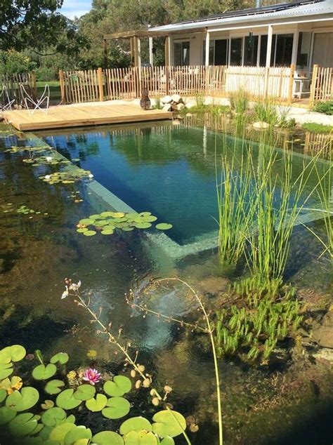 25 Beautifully Natural Pond Swimming Pool Design Ideas