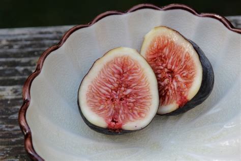 Roasted Fresh Fig Dessert With Raspberries Recipe Bakepedia