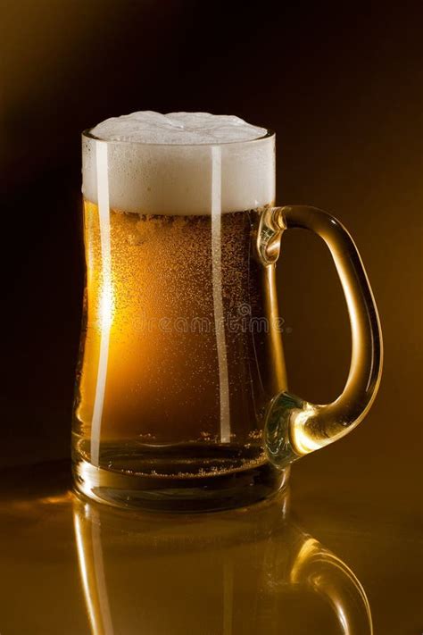 Mug Full Of Beer Stock Photo Image Of Glass Transparent 14335922