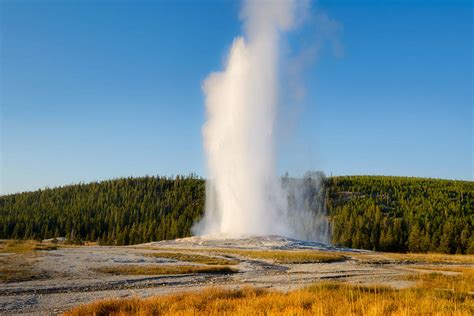 Man Pleads Guilty To Trespassing At Old Faithful In Yellowstone Las