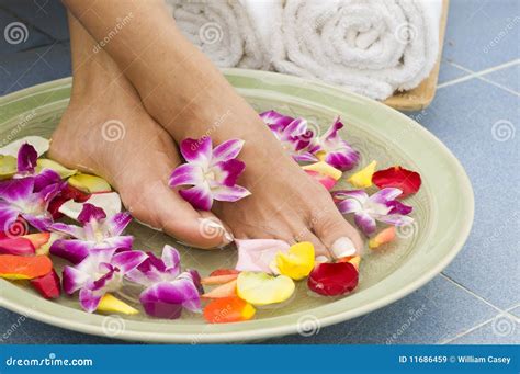 Aromatherapy Water Spa For Feet Stock Image Image Of Pamper Bliss 11686459