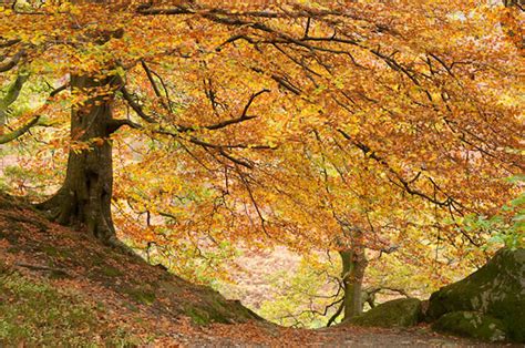 Tips On Shooting Autumn Landscapes In The Lake District