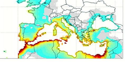 Mediterranean Eca Plans Fall Short Conservationists Warn Tradewinds