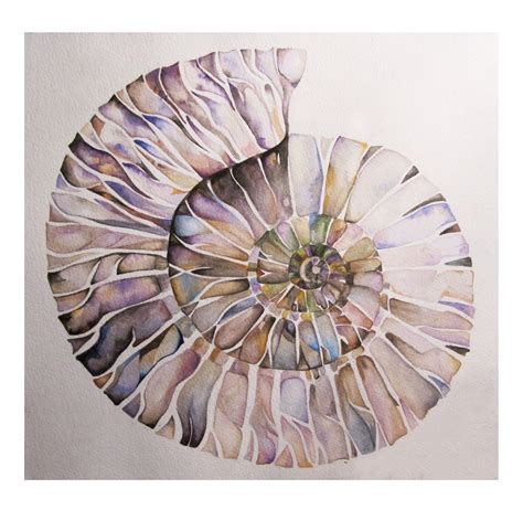 Watercolour Fossil Learn Watercolor Painting Modern Watercolor Art
