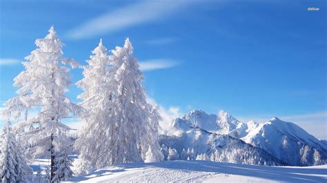 Beat The Winter Blues With Desktop Backgrounds 1920x1080 Winter In Cozy