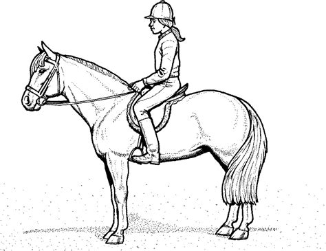 Drucke selbst kostenlose geburtstagseinladung zum ausdrucken. Ausmalbild Pferd | Animal coloring pages, Horse rider, Coloring pages