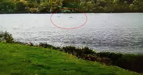 Five Recent Loch Ness Monster Sightings 90 Years After First Photo
