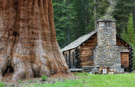 We did not find results for: Cabin beside a giant Redwood tree. (Yosemite National Park ...