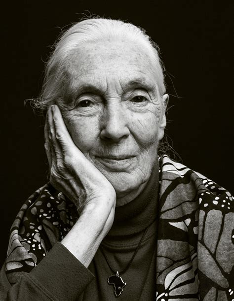 Dr Jane Goodalls Most Inspiring Quotes Of 2019 Jane Goodalls Good