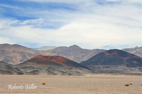 Antofagasta De La Sierra Catamarca Picaflor2010 Flickr