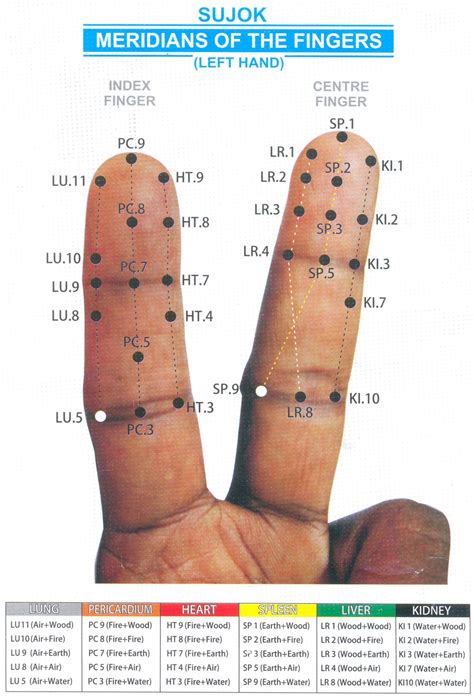 Pin By Estela On Acupuncture Points Acupressure Treatment Acupressure Massage Acupressure