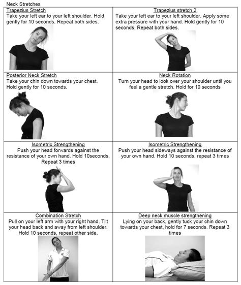 Muscle Exercises Neck Muscle Exercises Pdf
