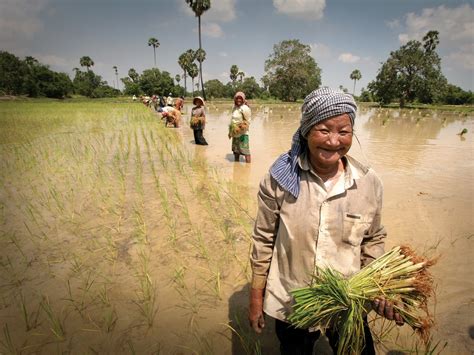 5 Facts About Hunger In Cambodia The Borgen Project