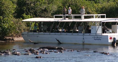 Chobe River Safari Cruise Masandlds Flickr