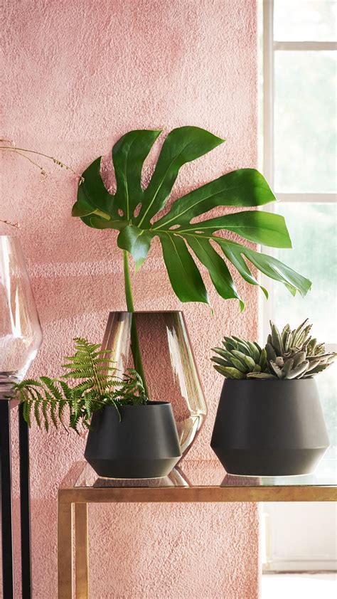 Being young, looking hip, and feeling great has never been so easy. Bring nature inside with our beautiful selection of pots ...